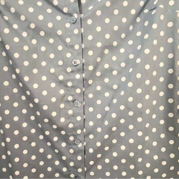 NWT Ann Taylor Shirt Size 0 Blue With Polka Dots Button Front Long Sleeves - Picture 2 of 6